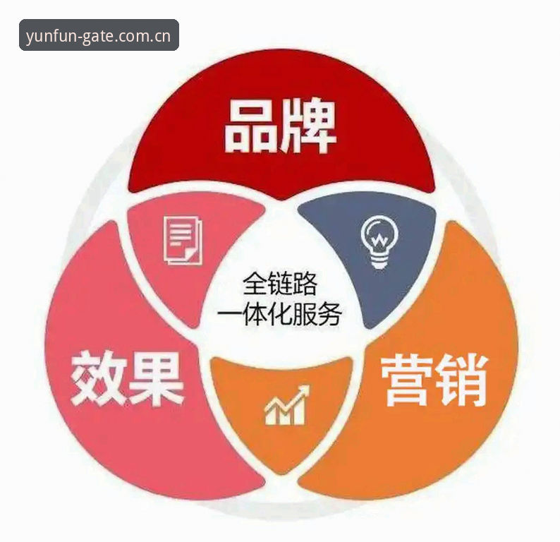 云开体育平台全链路深度评测：从注册登录到多端同步的真实体验报告